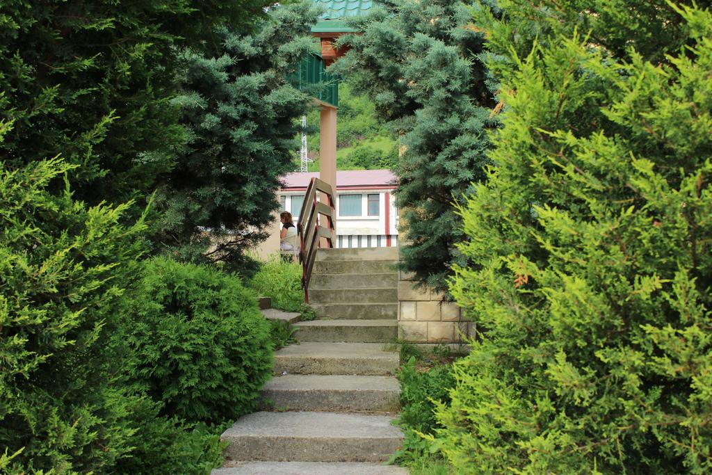 Guesthouse Eko Piva Pluzine Exterior photo